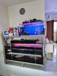 Blk 421A Northshore Straitsview (Punggol), HDB 2 Rooms #559564171